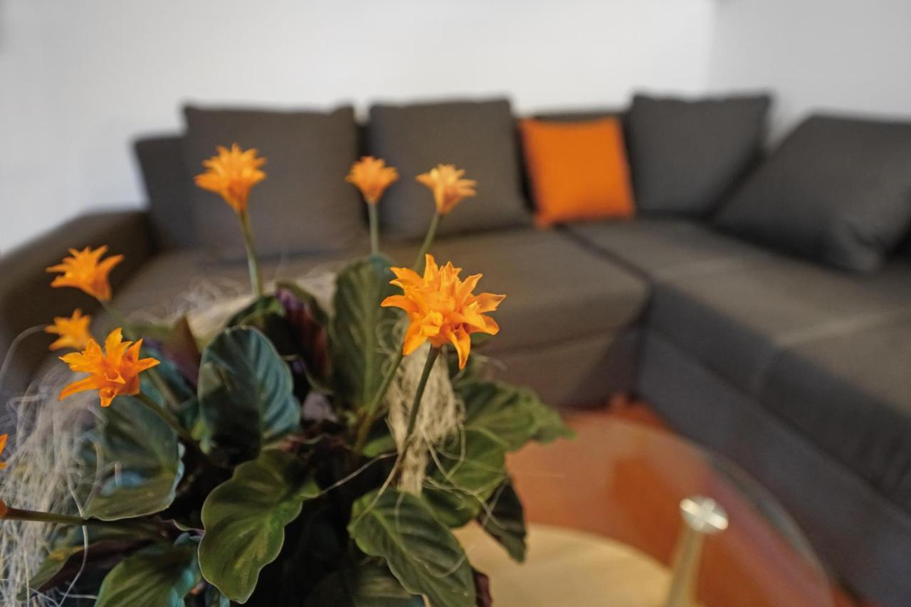 Apartament Domizil Aschbergblick Klingenthal Zewnętrze zdjęcie